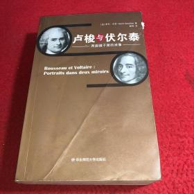 卢梭与伏尔泰 两面镜子里的肖像