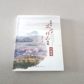 双柏县文学作品选编（小说卷）