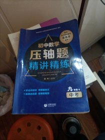 初中数学压轴题精讲精练（九年级+中考）