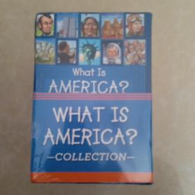 what is america? 英文原版 未开封 25本全