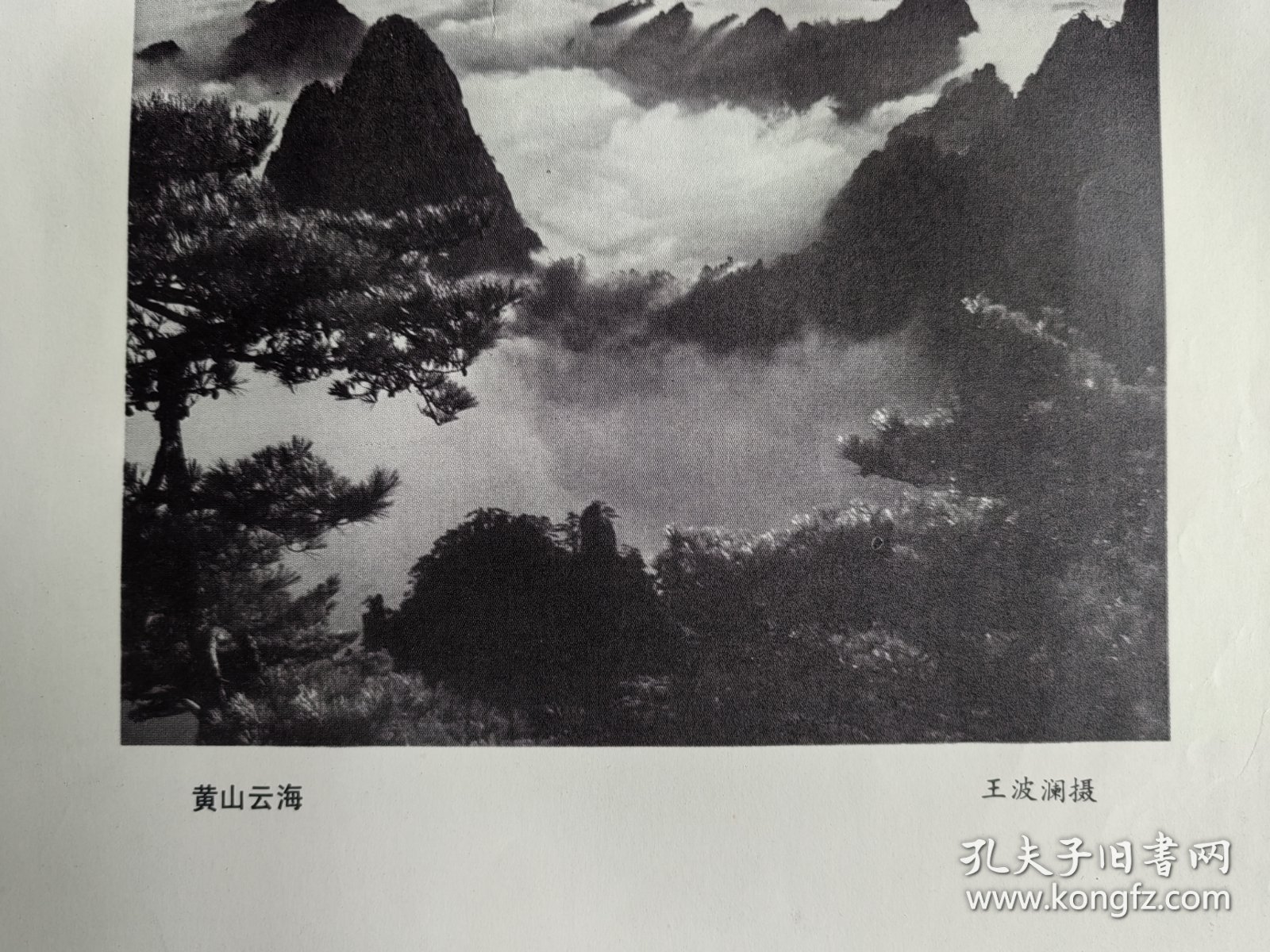 七十年代出版印刷《黄山云海》画页 王波澜摄