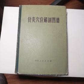 针灸穴位解剖图谱+几十页珍贵老中医笔记（1978年一版一印）