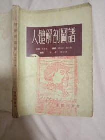 人体解剖图谱:(本书 品一般有勾画、前两页有缺角如图，内页 盖有北京市卫生局印章及审用印章， 封面盖有一枚毛主席头像图案大红印章， 详看如图，具有收藏价值)