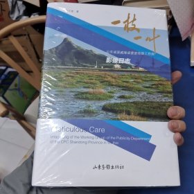 一枝一叶