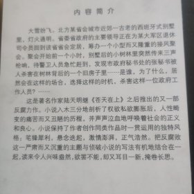 大雪无痕