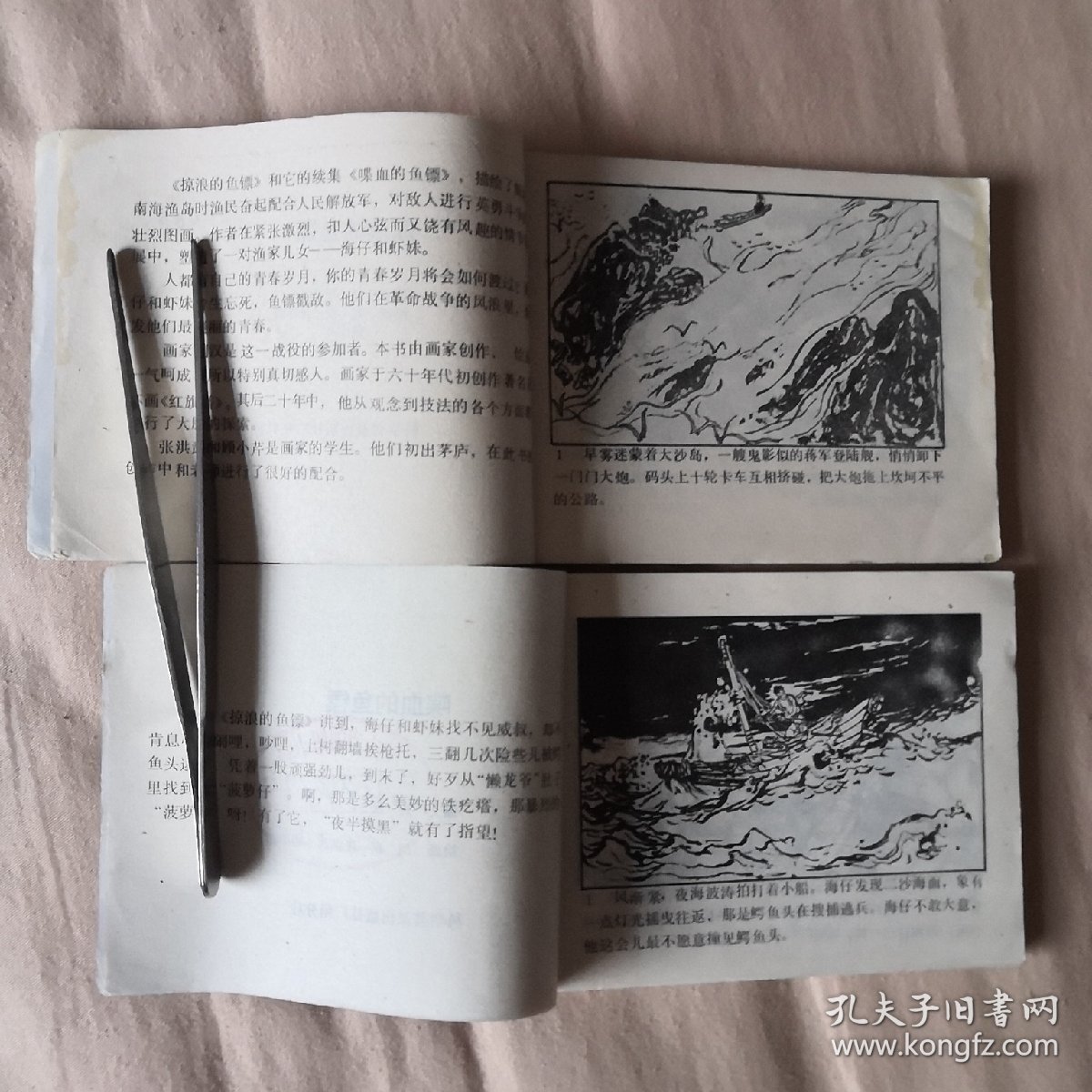 掠浪的鱼镖（上下）