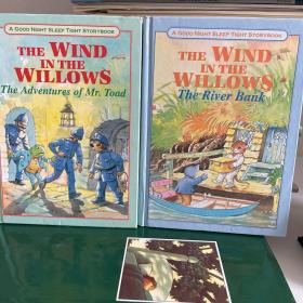 The wind in the willows