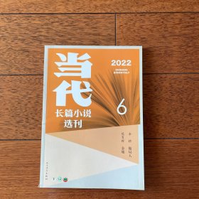 当代长篇小说选刊2022年第6期sfd