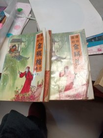 绘图评点金瓶梅全传（上下）