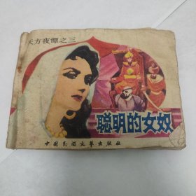 聪明的女奴