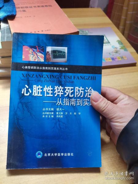 心脏性猝死防治：从指南到实践