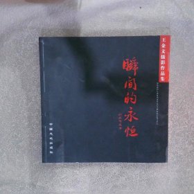 瞬间的永恒王金文摄影作品集