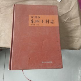 东四王村志.