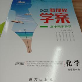 新课程学案高中化学必修第一册（适用人教版最新版教材）