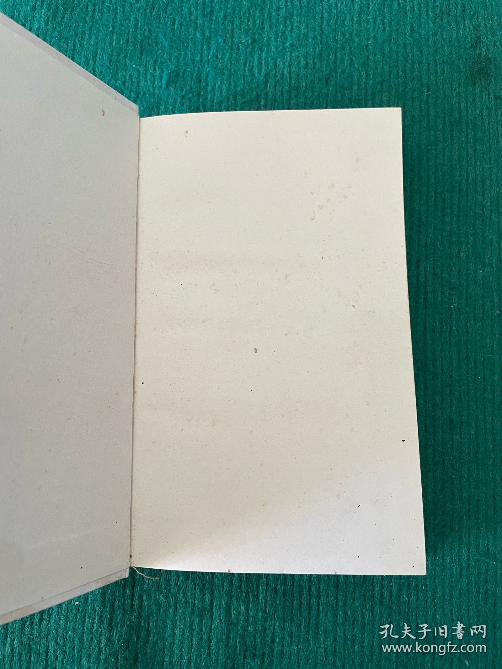 现代耳鼻咽喉科诊疗手册
