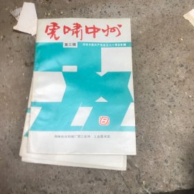 虎啸中州 第三辑