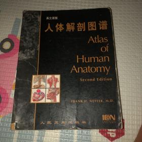 人体解剖图谱（英文原版）