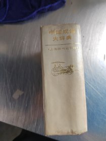 中国成语大辞典（正版丶无笔记\无书衣\实物拍摄）