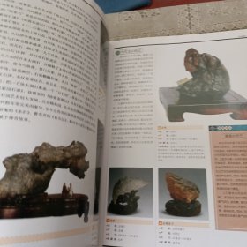 奇石 中国艺术品收藏鉴赏全集：典藏版