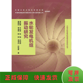 水轮发电机组振动研究/大型水轮发电机组稳定性研究丛书