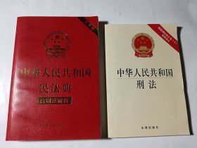 中华人民共和国民法典（含司法解释，大字本）+中华人民共和国刑法（根据刑法修正案10最新修订），2本合售，正版