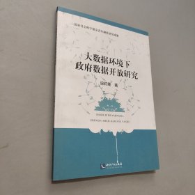 大数据环境下政府数据开放研究