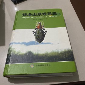 梵净山景观昆虫