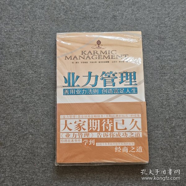业力管理：善用业力法则 创造富足人生