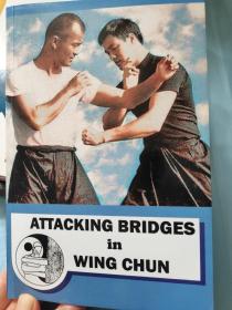 咏春拳桥手攻击技法（Attacking Bridge In Wing Chun）