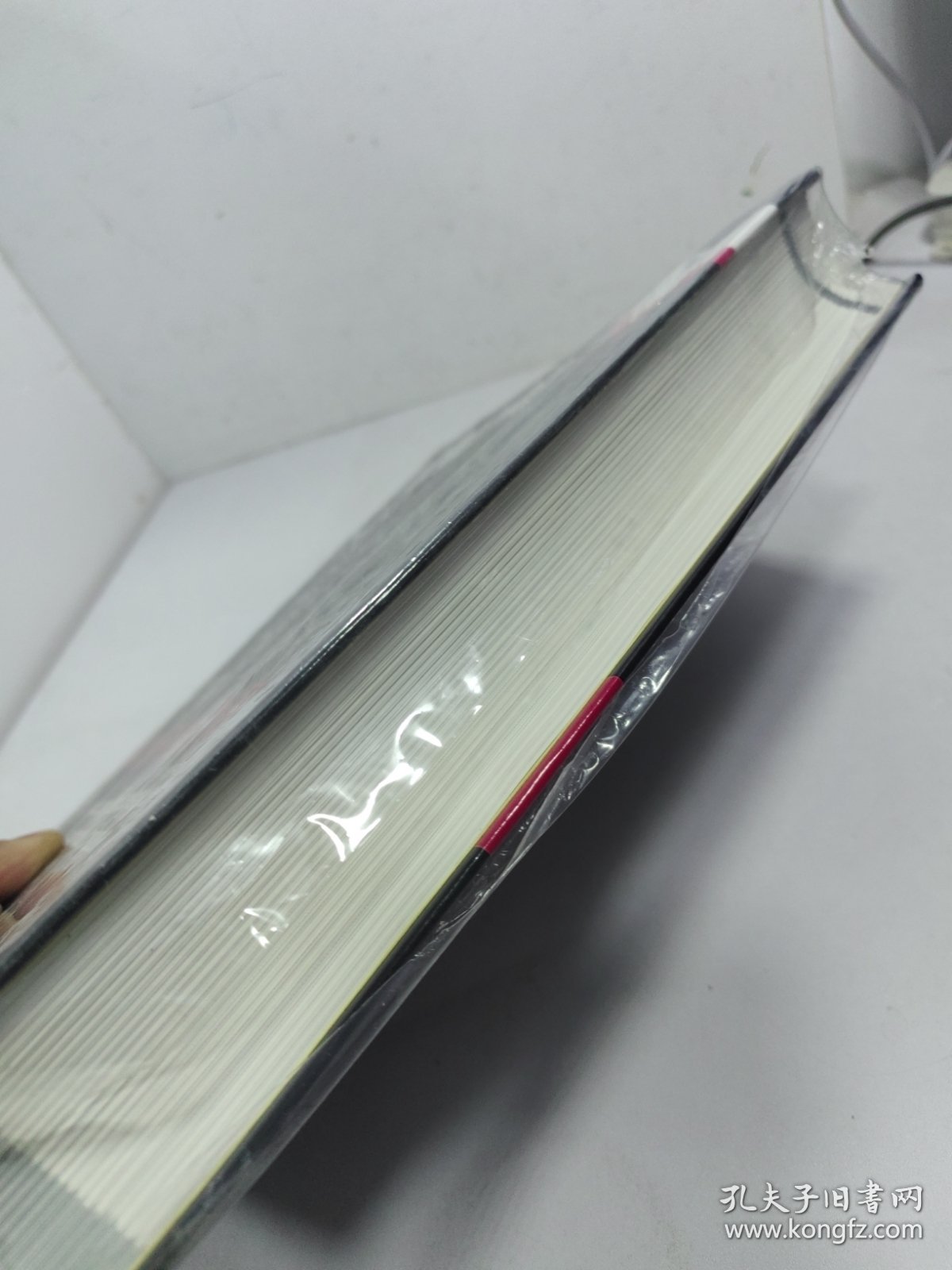 避免急诊常见错误（原书第2版）/国际经典急诊医学译著