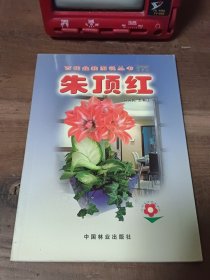 百花盆栽图说丛书 朱顶红