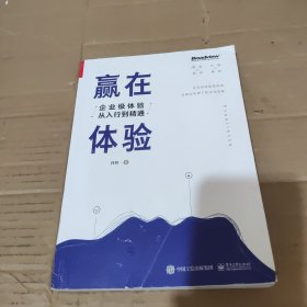 赢在体验：企业级体验从入行到精通