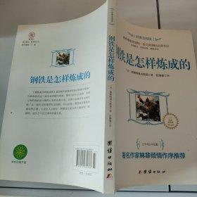 经典全阅读：钢铁是怎么样炼成的