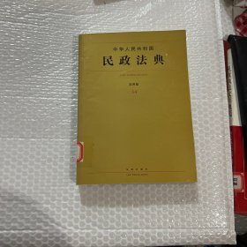 中华人民共和国民政法典(应用版)