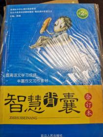 智慧背囊:合订本第2辑