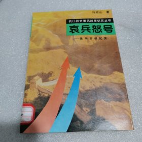 哀兵怒号:徐州会战纪实 抗日战争著名战亊纪实丛书