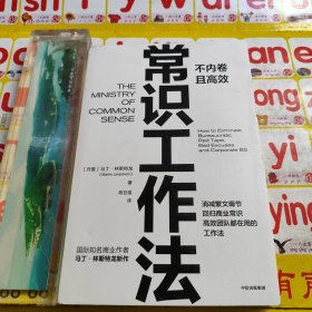 常识工作法:不内卷且高效 马丁·林斯特龙 著 痛点 品牌洗脑 作者新作