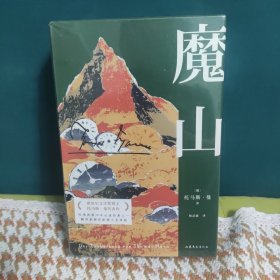 魔山（诺贝尔文学奖得主托马斯·曼代表作，哈佛推荐50本必读经典之一。“翻译文化终身成就奖”得主杨武能德文直译版。）【果麦经典】