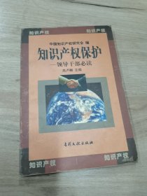 知识产权保护—领导干部必读
