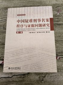 中国疑难刑事名案程序与证据问题研究（第1卷）