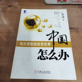 中国怎么办：当次货危机改变世界