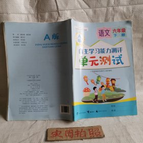 语文六年级下册A版自主学习能力测评单元测试