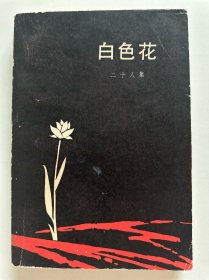 白色花:二十人集