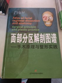 面部分区解剖图谱：手术原理与整形实践