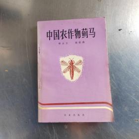 中国农作物 蓟马（初版丶无笔记丶实物拍摄）