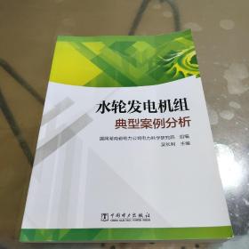 水轮发电机组典型案例分析