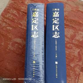 上海市嘉定区志（1993-2010）上下册（上开封，下未开）塑封有破损