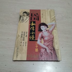 民国私情小说二十部 卷五 大32开本 精装
