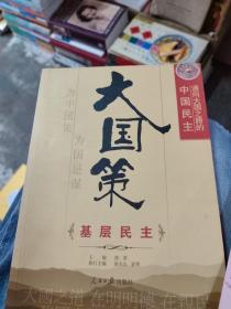 通向大国之路的中国模式 政治模式、民主演进，基层民主，增量式民主，公民社会，民主参与，党内民主，中国式民主，善治与体制共9本合售