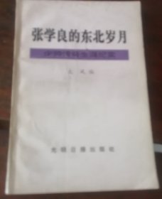 张学良的东北岁月